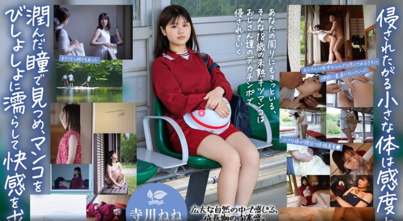 人妻人妻与人妻人妻a国产一区精品在线メイリン モデル...